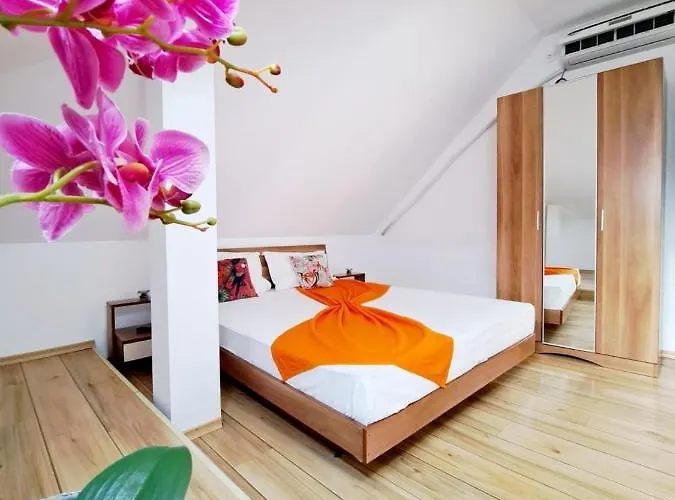 Veronica Észak-Eforie